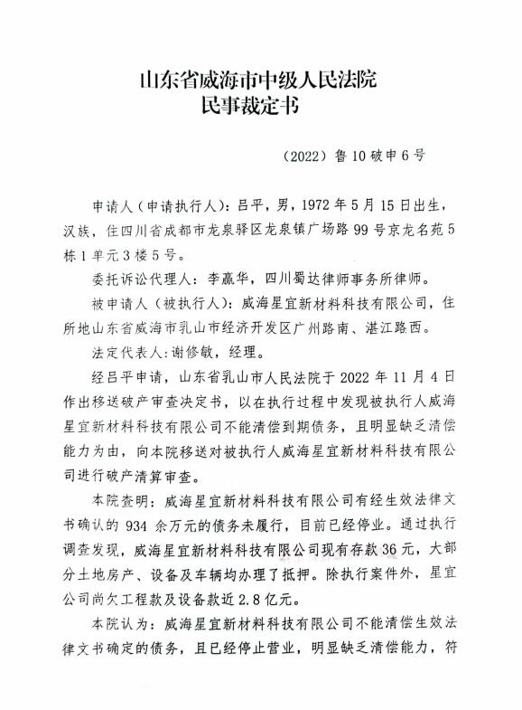 星宜破产裁定1.jpg